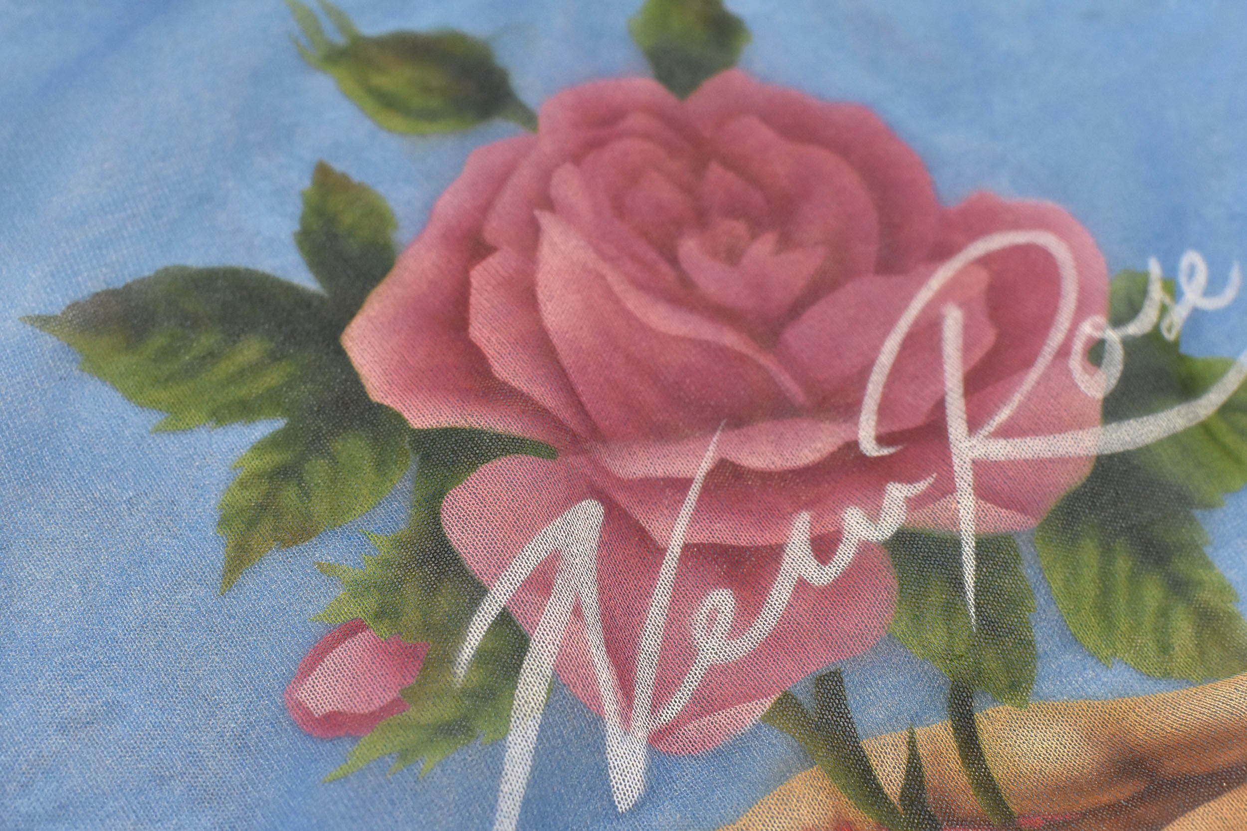 Sheer Knit Pullover / Airbrush