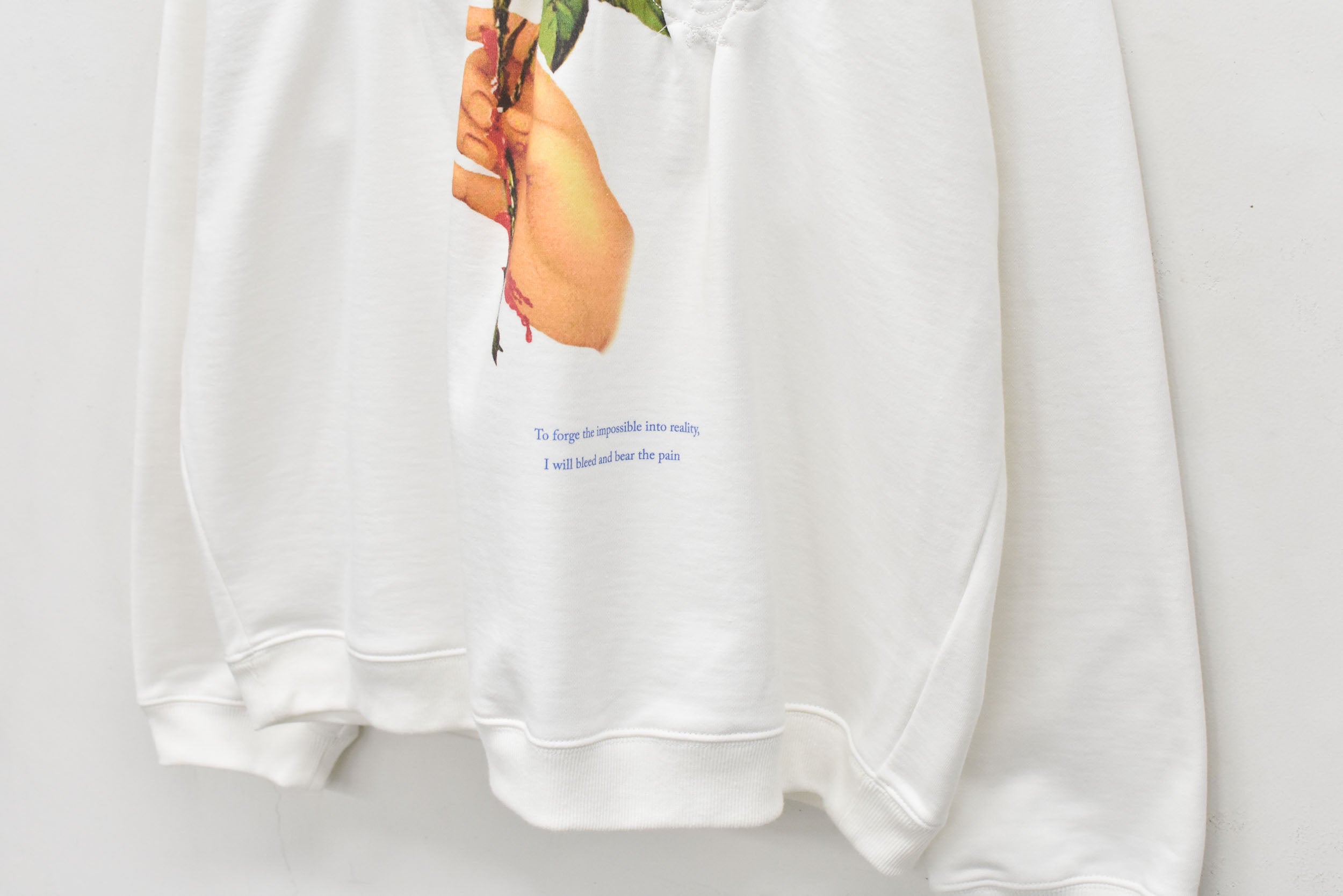 Embroidery Wrinklework Sweatshirt / print