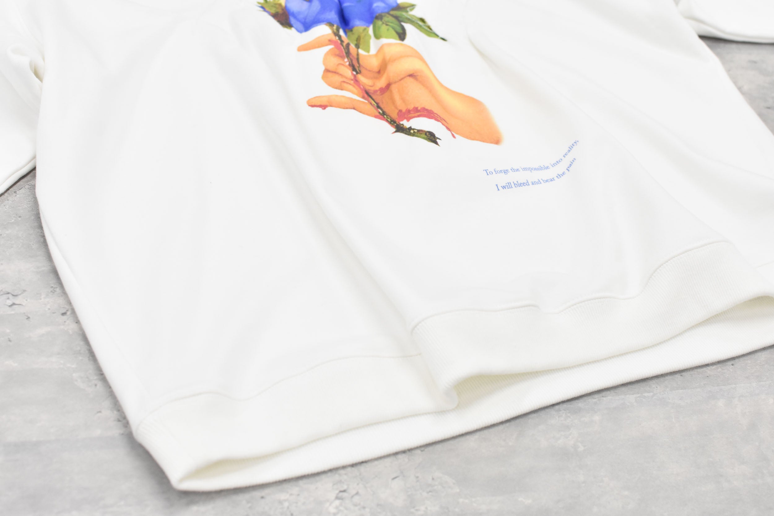 Embroidery Wrinklework Sweatshirt / print