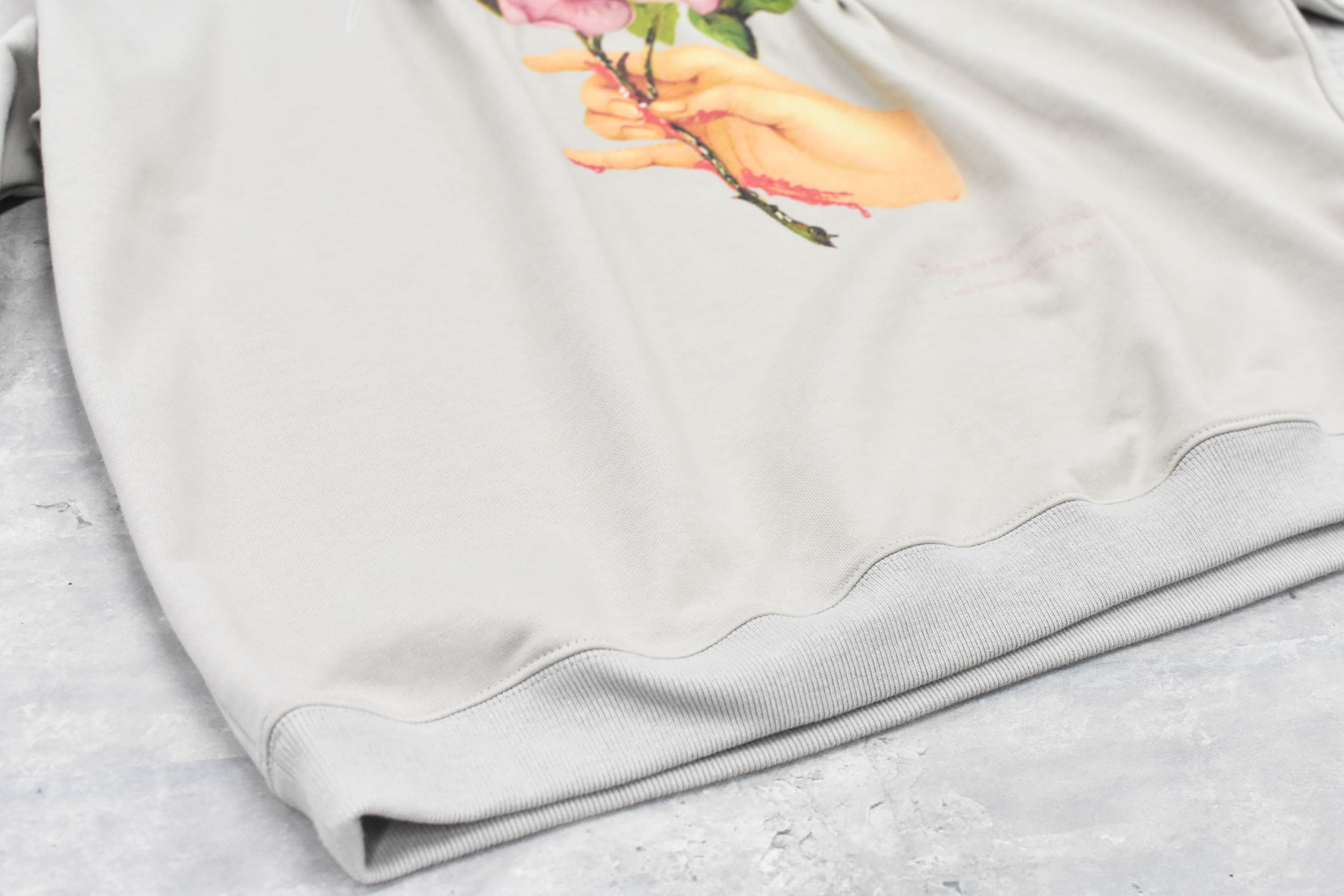 Embroidery Wrinklework Sweatshirt / print